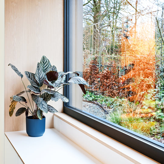 Houtmerk - Zitbank Villa 01 - Zitelement met lades of deuren Kastcombinatie Houtmerk