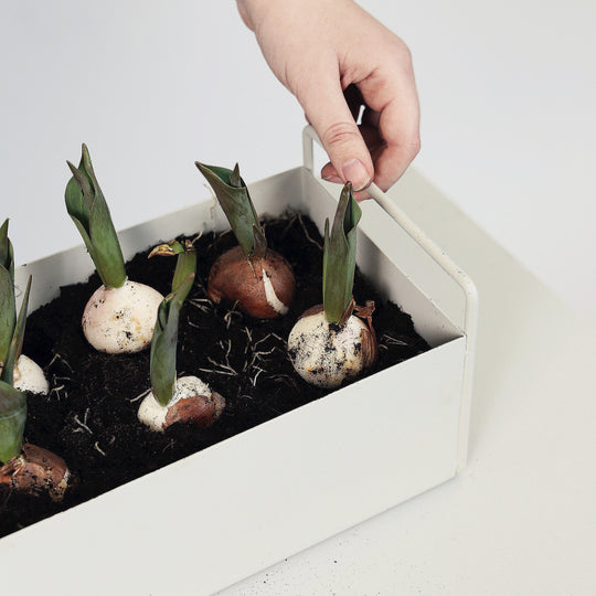 Ferm Living - Plant Box - Plantenbak of Bloembak Accessoires Ferm Living   